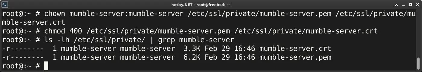 Выставление владельца и группу mumble-server с правами 400 для /etc/ssl/private/mumble-server.pem и /etc/ssl/private/mumble-server.crt, проверка прав командой ls -lh