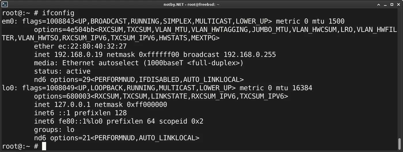 Консоль FreeBSD, вывод команды "ifconfig". Список сетевых интерфейсов и их адреса.