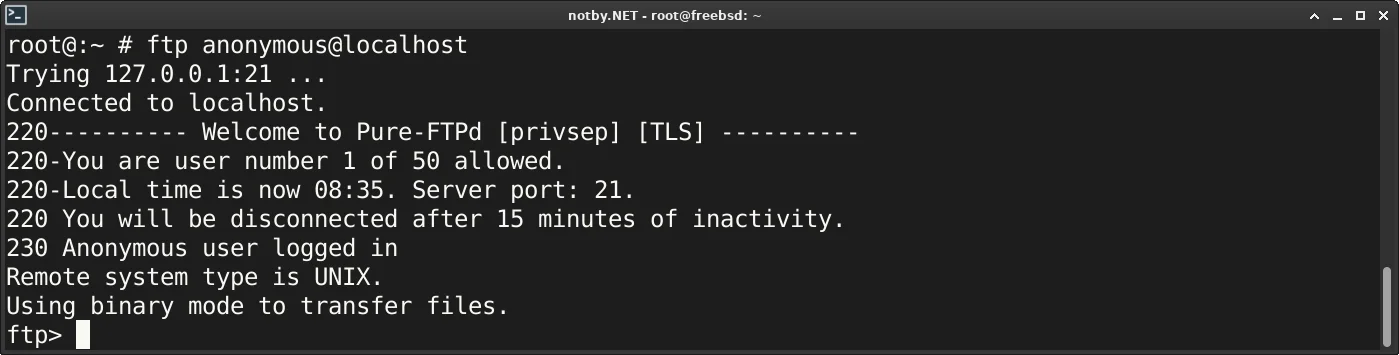 Успешное подключение анонимным пользователем к FTP серверу Pure-FTPd командой "ftp anonymous@localhost" в FreeBSD.