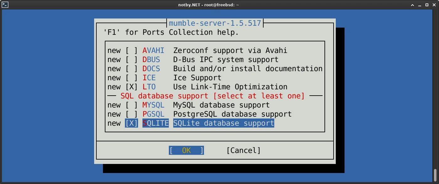 Установка Mumble server из портов FreeBSD, выбор параметров сборки