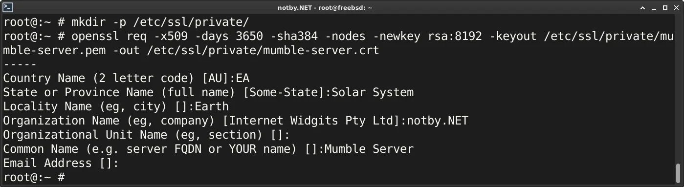Генерация самоподписанного сертификата через openssl в FreeBSD для Mumble сервера завершена успешна