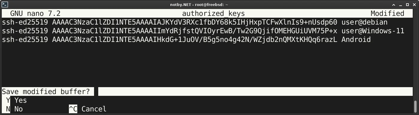 Редактирование файла authorized_keys через текстовый редактор nano в FreeBSD. В файле три публичных ключа в три строчки.