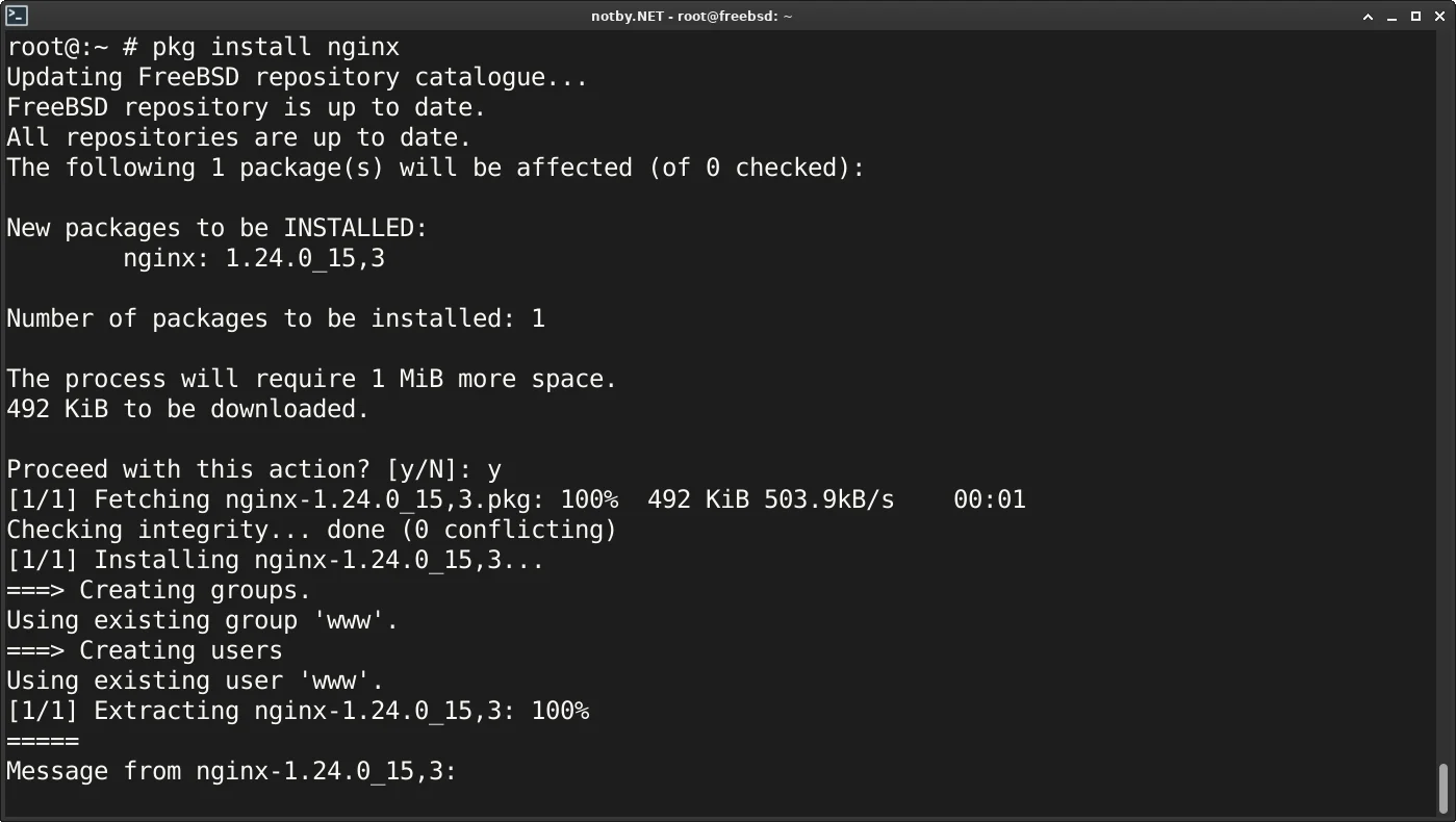 FreeBSD установка пакета nginx командой "pkg install nginx", веб-сервер успешно установлен