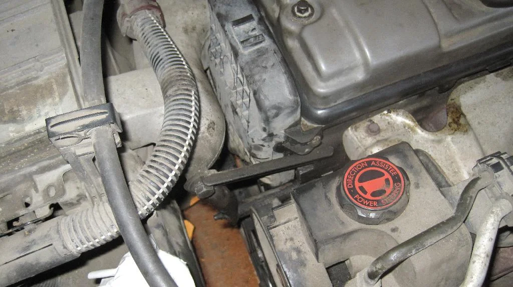 На автомобиле Peugeot 206 установлен приводной ремень дополнительного оборудования двигателя TU3JP