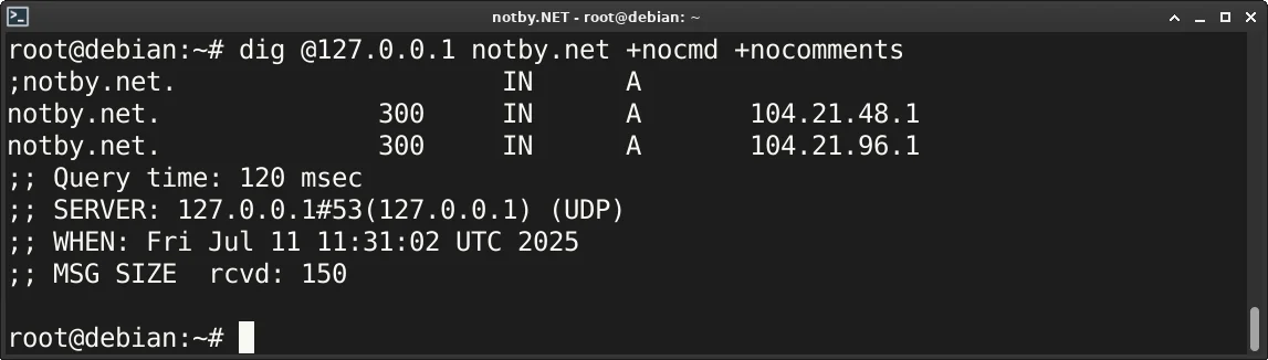 Проверка локального DNS-сервера 127.0.0.1 (localhost) командой “dig @127.0.0.1 notby.net +nocmd +nocomments” в консоли Debian сервера. Получен успешный ответ DNS-сервера и отображена информация об DNS зоне домена notby.net