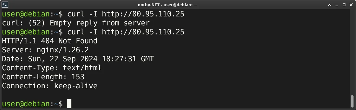 Через утилиты cURL в консоли Debian выведен ответа веб-сервера при доступе к нему через IP-адрес по протоколу HTTP, веб-сервер nginx оправил ответ HTTP/1.1 404 Not Found