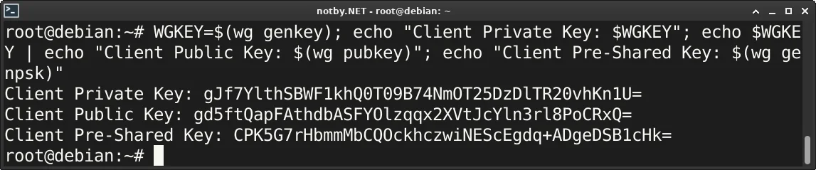 Выполнена консольная команда для генерации ключей WireGuard клиента в терминале Debian, выведены ключи Server Private Key, Server Public Key и Client Pre-Shared Key
