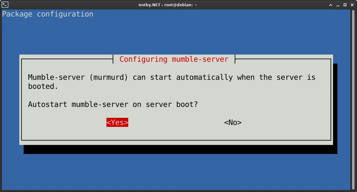 Конфигурация пакета Mumble сервера при помощи команду “dpkg-reconfigure mumble-server” в операционной системе Debian. Разрешить автозагрузку Mumble сервера? Выбран ответ yes