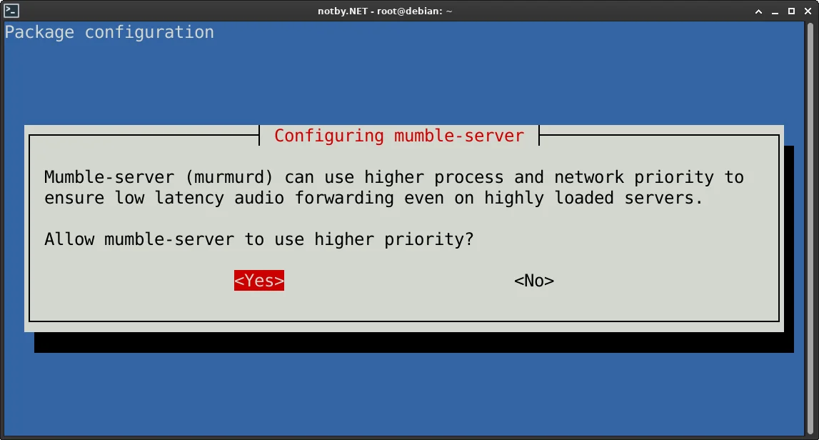Конфигурация пакета Mumble сервера при помощи команду “dpkg-reconfigure mumble-server” в операционной системе Debian. Разрешить mumble-server использовать более высокий приоритет?  Выбран ответ yes