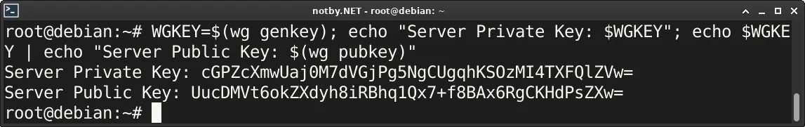 Выполнена консольная команда для генерации пары ключей WireGuard сервера в терминале Debian, выведены ключи Server Private Key и Server Public Key