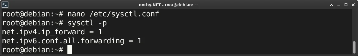 Выполнена команду “sysctl -p” в операционной системе Debian, выведены параметры net.ipv4.ip_forward=1, net.ipv6.conf.all.forwarding=1