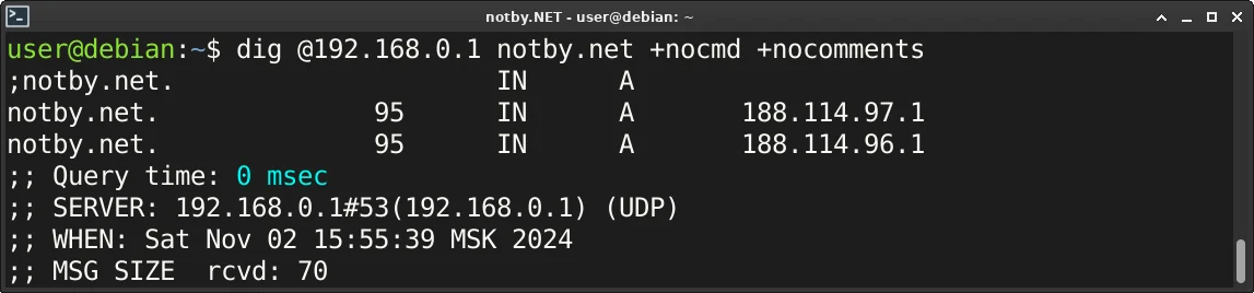 Проверка DNS командой “dig @192.168.0.1 notby.net +nocmd +nocomments” в консоли Debian для домена notby.net через DNS сервер локальной сети. Успешный ответ DNS сервера, отображены записи A для домена, а время ответа DNS составляет 0мс