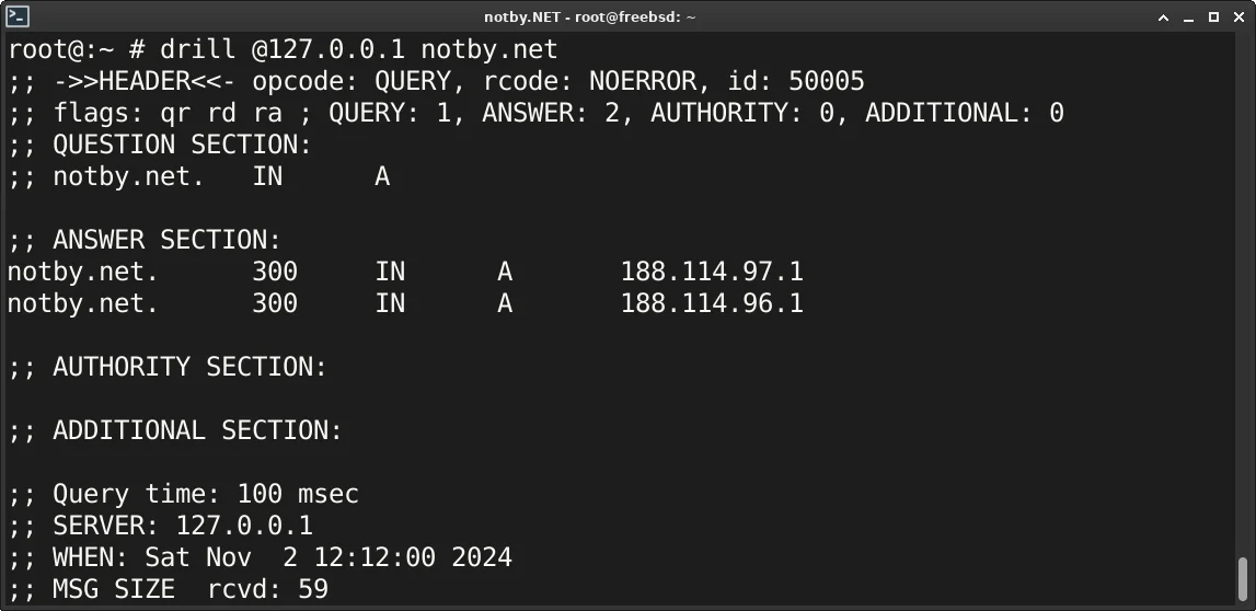 Проверка DNS командой “drill @127.0.0.1 notby.net” в консоли FreeBSD для домена notby.net через DNS сервер 127.0.0.1 (localhost). Получен успешный ответ DNS сервера и отображена информация об DNS зоне домена