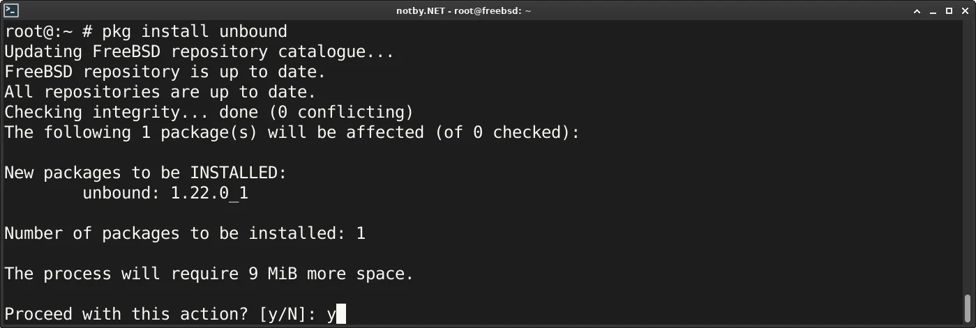Установка Unbound версии 1.22.0 через пакеты FreeBSD при помощи команды pkg install unbound