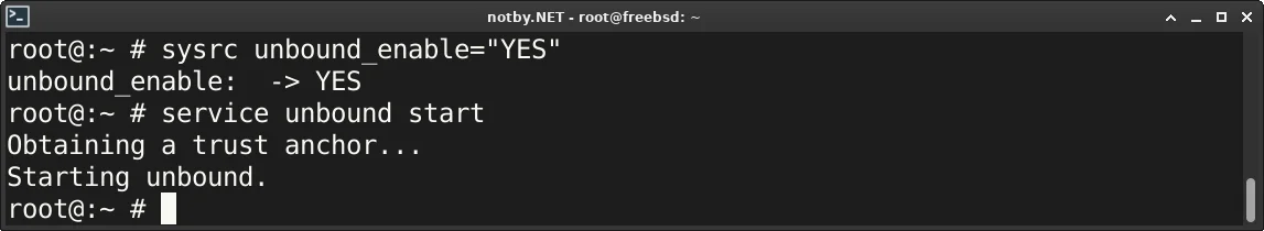 DNS сервер Unbound добавлен в автозагрузку командой “sysrc unbound_enable=YES” и запущен командой “service unbound start” в FreeBSD