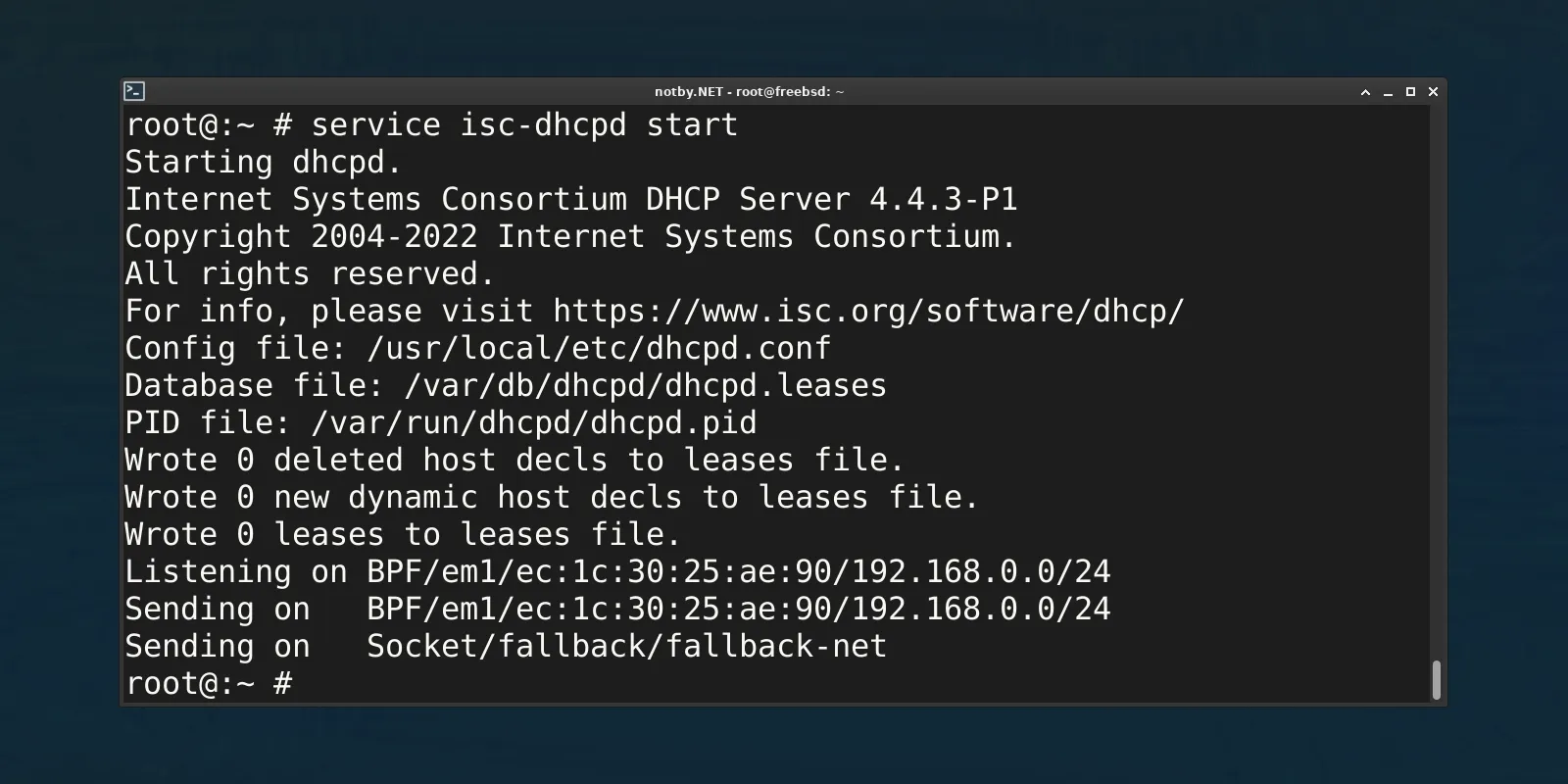 Изображение предпросмотра статьи: Настройка DHCP-сервера ISC-DHCP в FreeBSD 14.1