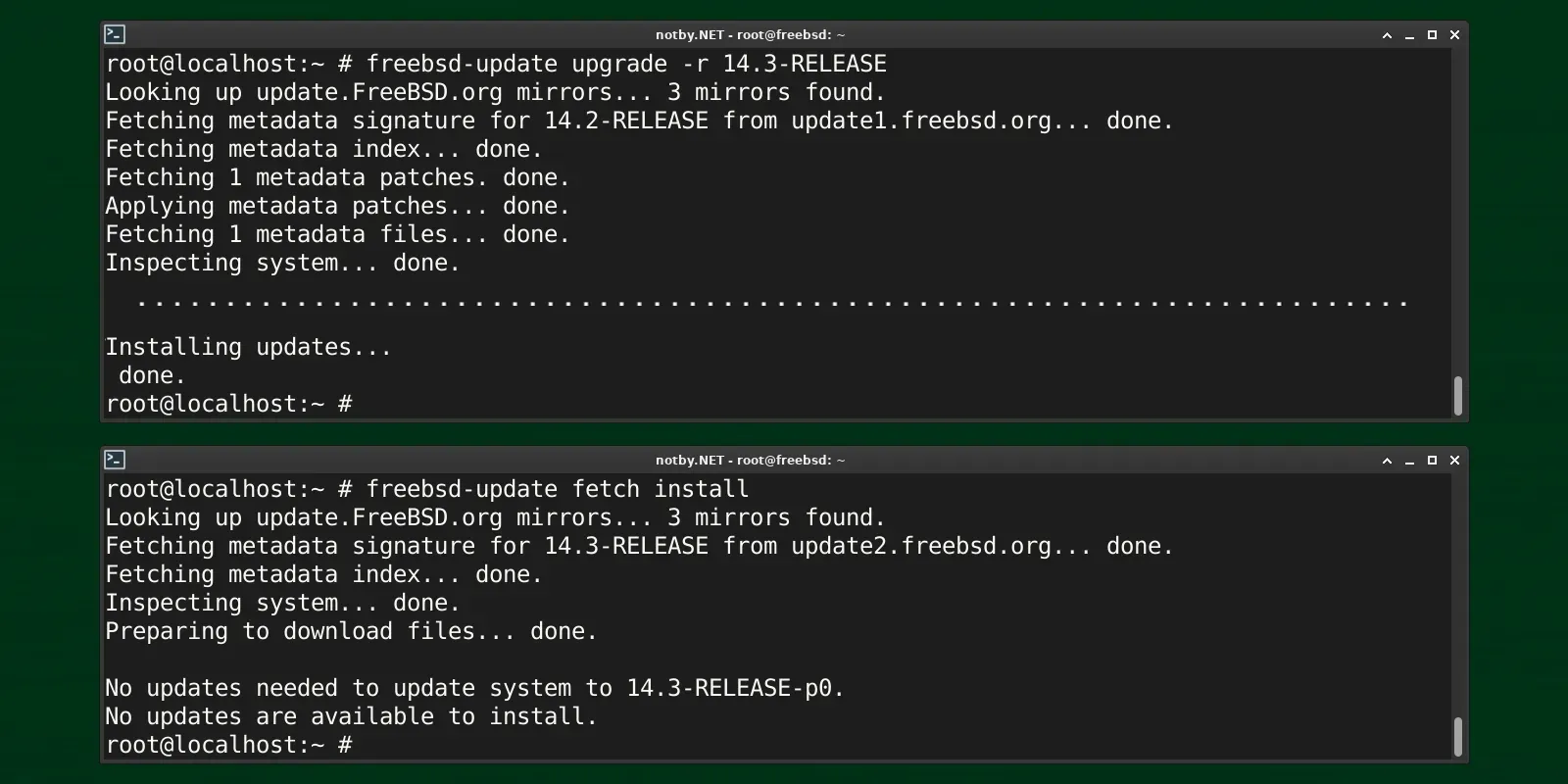 Изображение предпросмотра статьи: Обновление FreeBSD 14.2 до FreeBSD 14.3