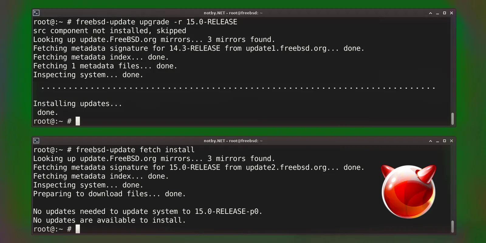 Изображение предпросмотра статьи: Обновление FreeBSD до версии 15