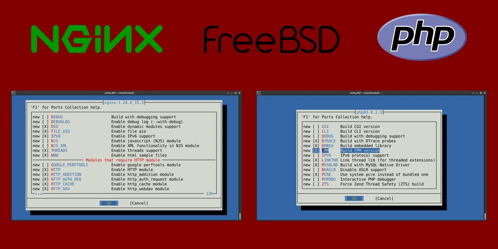 Изображение предпросмотра статьи: Установка и настройка nginx + PHP в FreeBSD 14