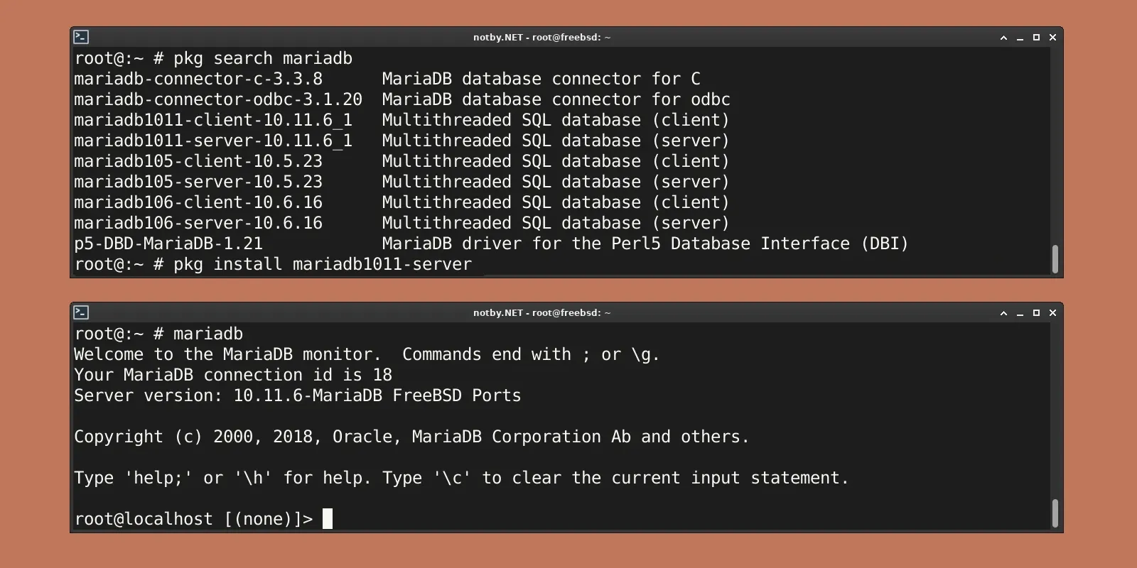 Изображение предпросмотра статьи: Установка MariaDB 10.11 в FreeBSD 14